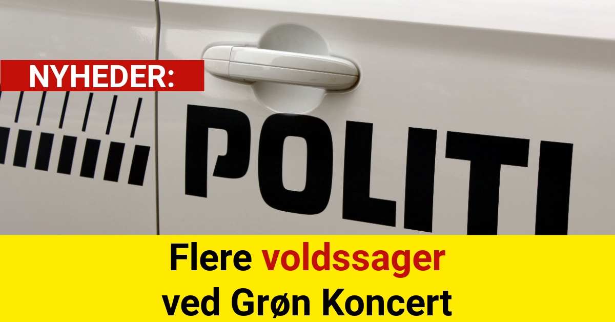 Flere voldssager ved Grøn Koncert