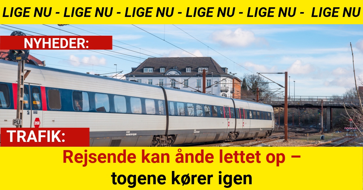Rejsende kan ånde lettet op – togene kører igen
