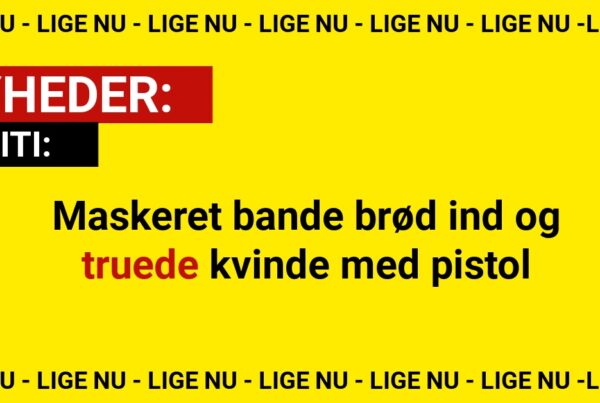Maskeret bande brød ind og truede kvinde med pistol