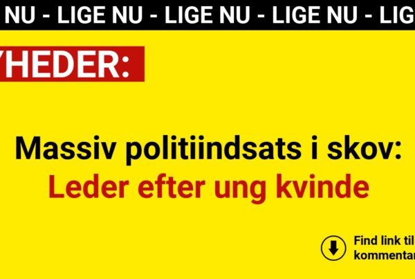 Massiv politiindsats i skov: Leder efter ung kvinde