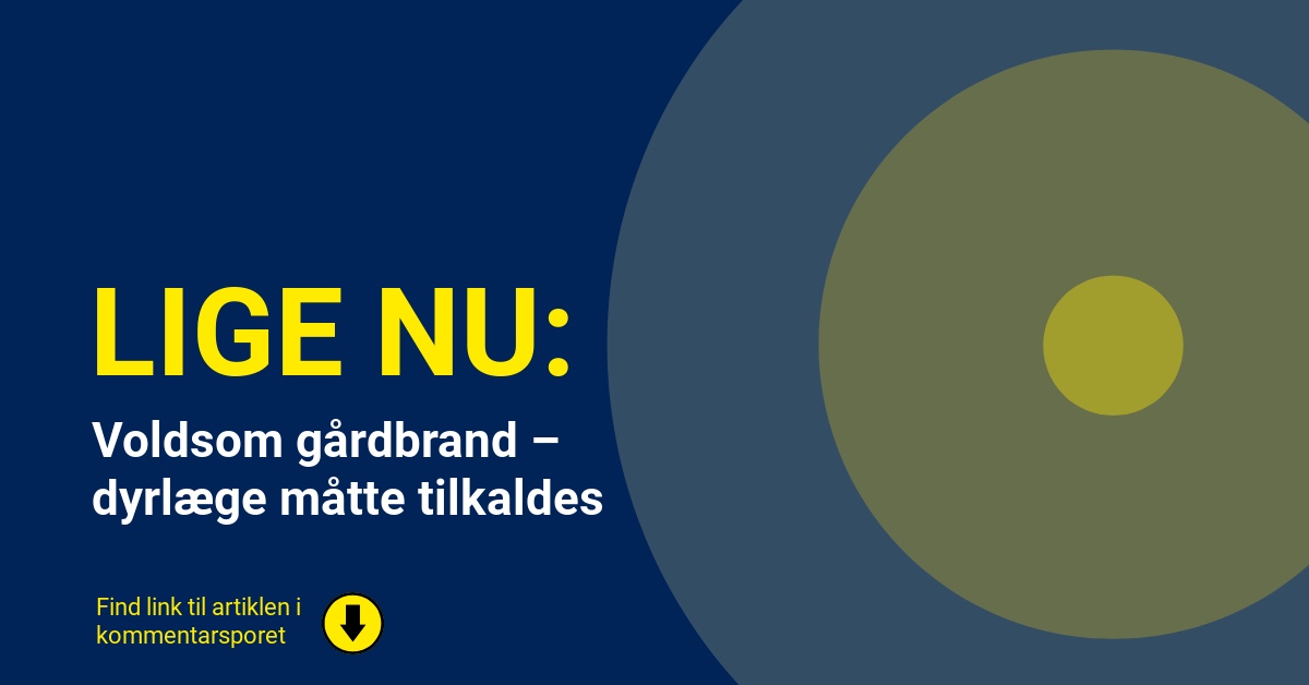 Voldsom gårdbrand – dyrlæge måtte tilkaldes