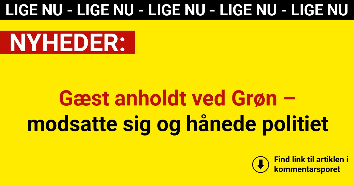 Gæst anholdt ved Grøn – modsatte sig og hånede politiet