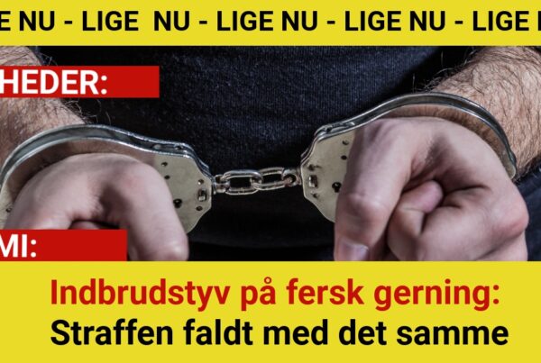 Indbrudstyv på fersk gerning: Straffen faldt med det samme