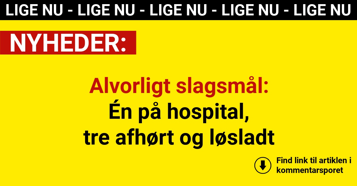 Alvorligt slagsmål: Én på hospital, tre afhørt og løsladt