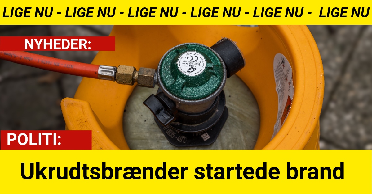 Ukrudtsbrænder startede brand