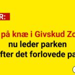 Gik på knæ i Givskud Zoo – nu leder parken efter det forlovede par