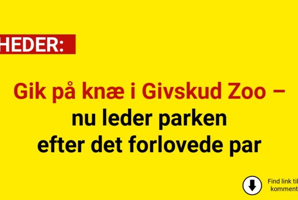 Gik på knæ i Givskud Zoo – nu leder parken efter det forlovede par