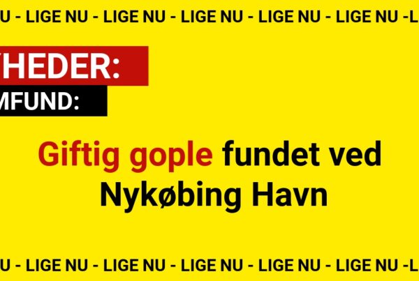 Giftig gople fundet ved Havn - Eksperter advarer