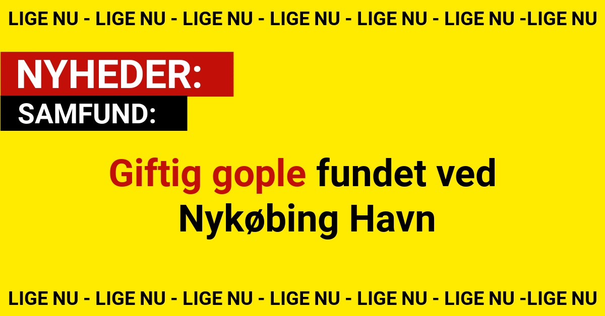 Giftig gople fundet ved Havn - Eksperter advarer