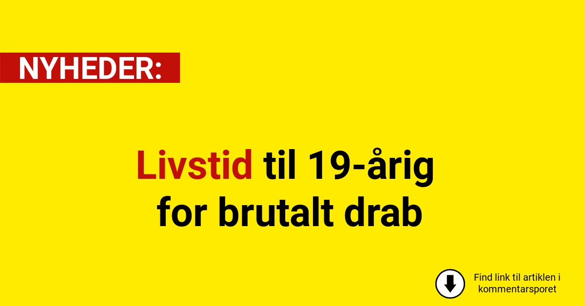 Livstid til 19-årig for brutalt drab