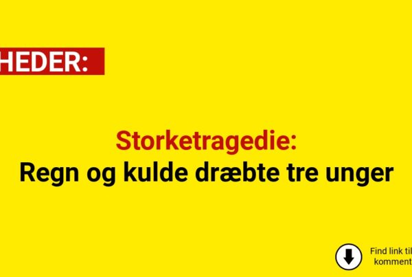 Storketragedie: Regn og kulde dræbte tre unger