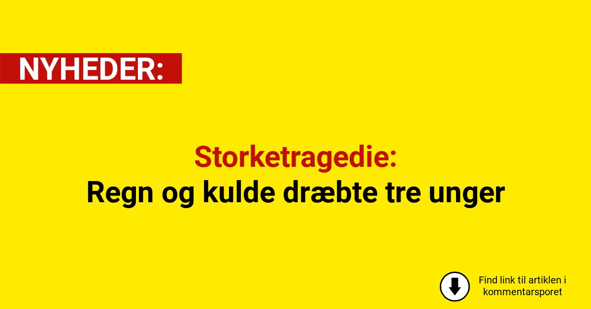 Storketragedie: Regn og kulde dræbte tre unger