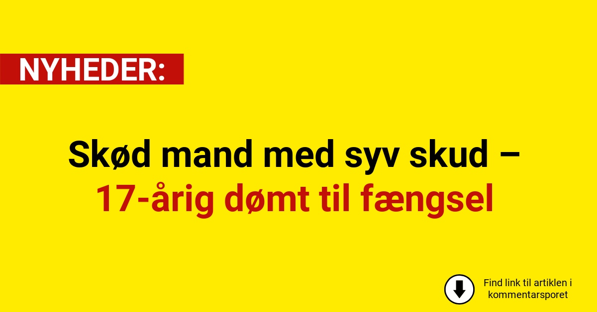 Skød mand med syv skud – 17-årig dømt til fængsel