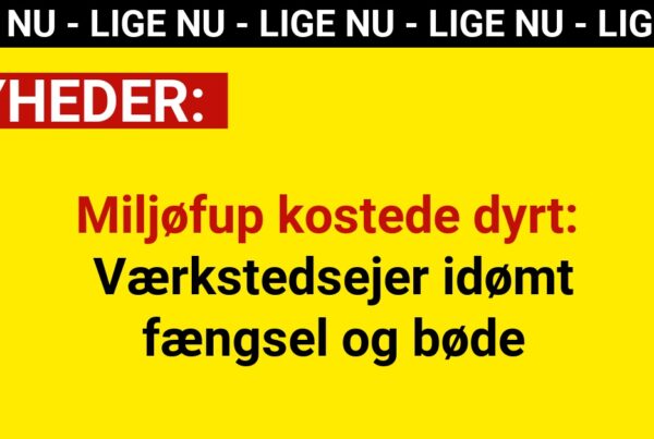 Miljøfup kostede dyrt: Værkstedsejer idømt fængsel og bøde