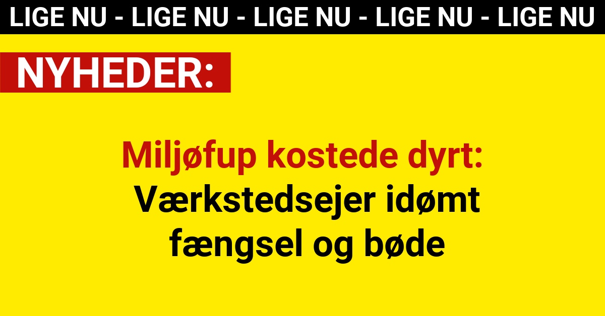 Miljøfup kostede dyrt: Værkstedsejer idømt fængsel og bøde