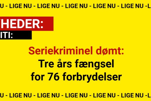 Seriekriminel dømt: Tre års fængsel for 76 forbrydelser