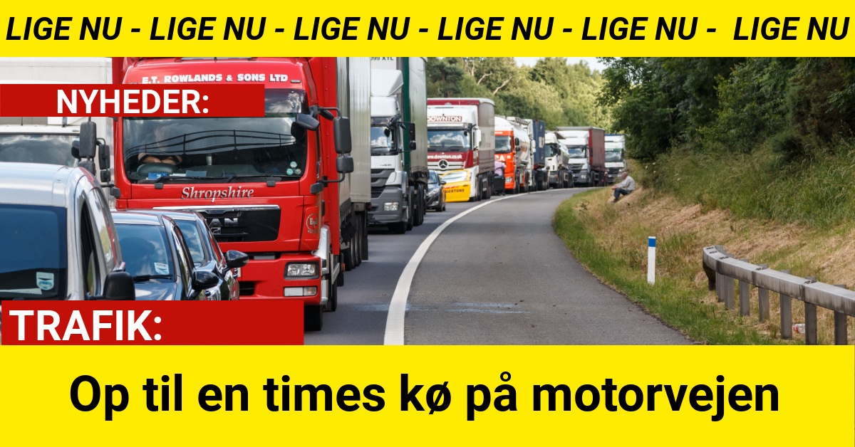 Op til en times kø på motorvejen