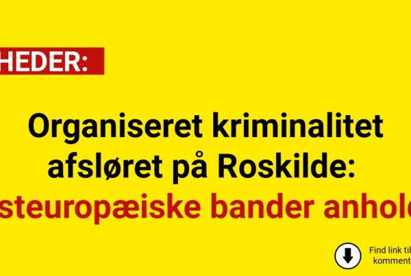 Organiseret kriminalitet afsløret på Roskilde: Østeuropæiske bander anholdt