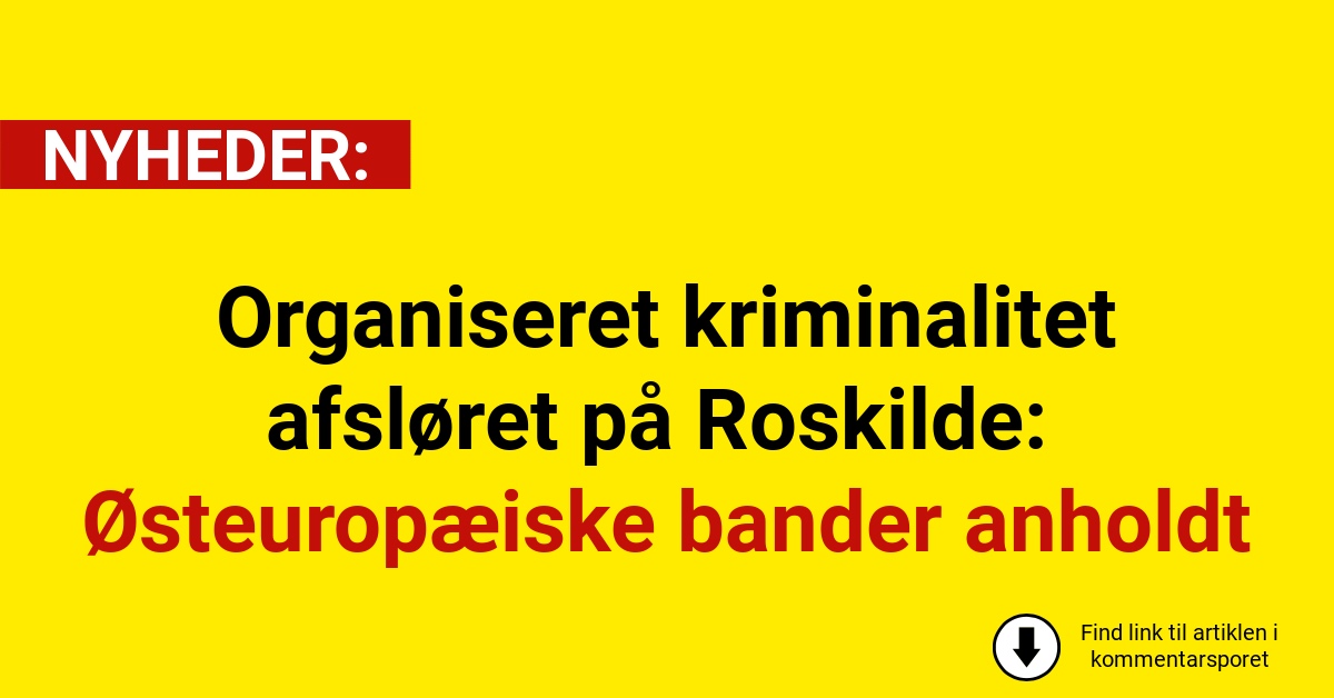 Organiseret kriminalitet afsløret på Roskilde: Østeuropæiske bander anholdt