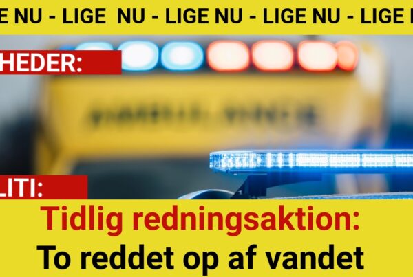 Tidlig redningsaktion: To reddet op af vandet