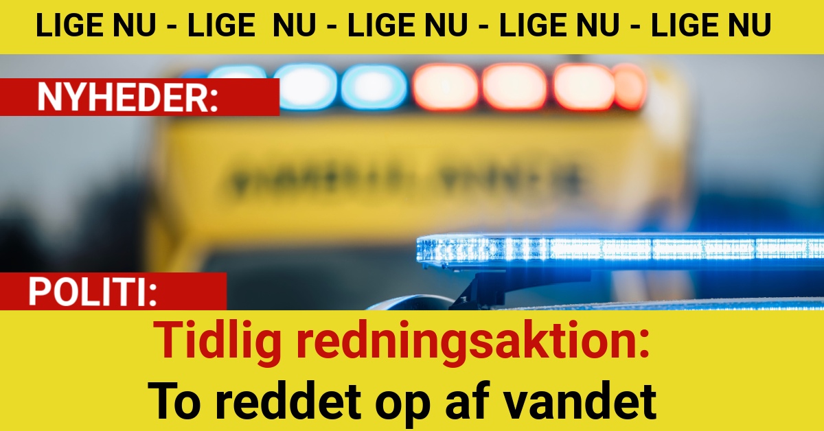 Tidlig redningsaktion: To reddet op af vandet