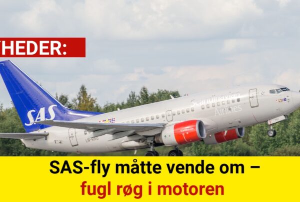 SAS-fly måtte vende om – fugl røg i motoren