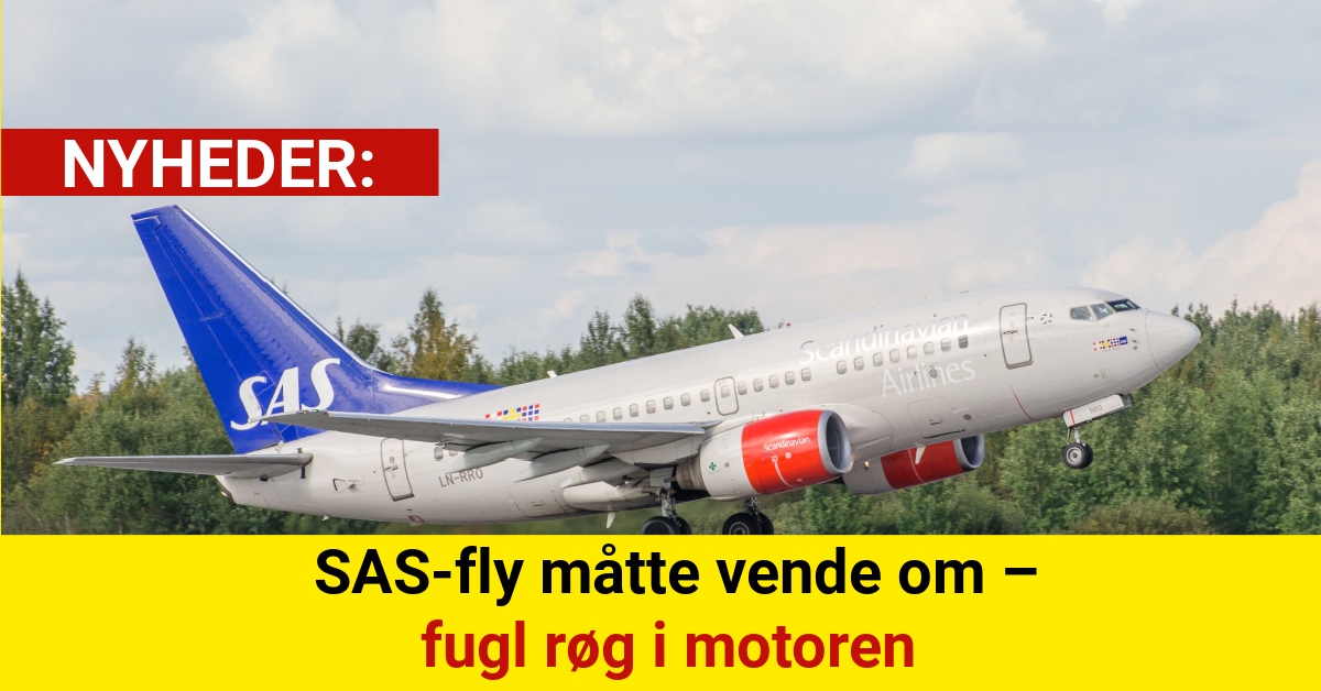 SAS-fly måtte vende om – fugl røg i motoren