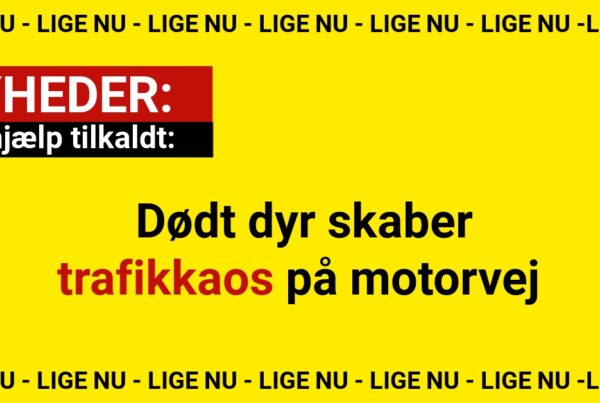 Vejhjælp tilkaldt: Dødt dyr skaber trafikkaos på motorvej