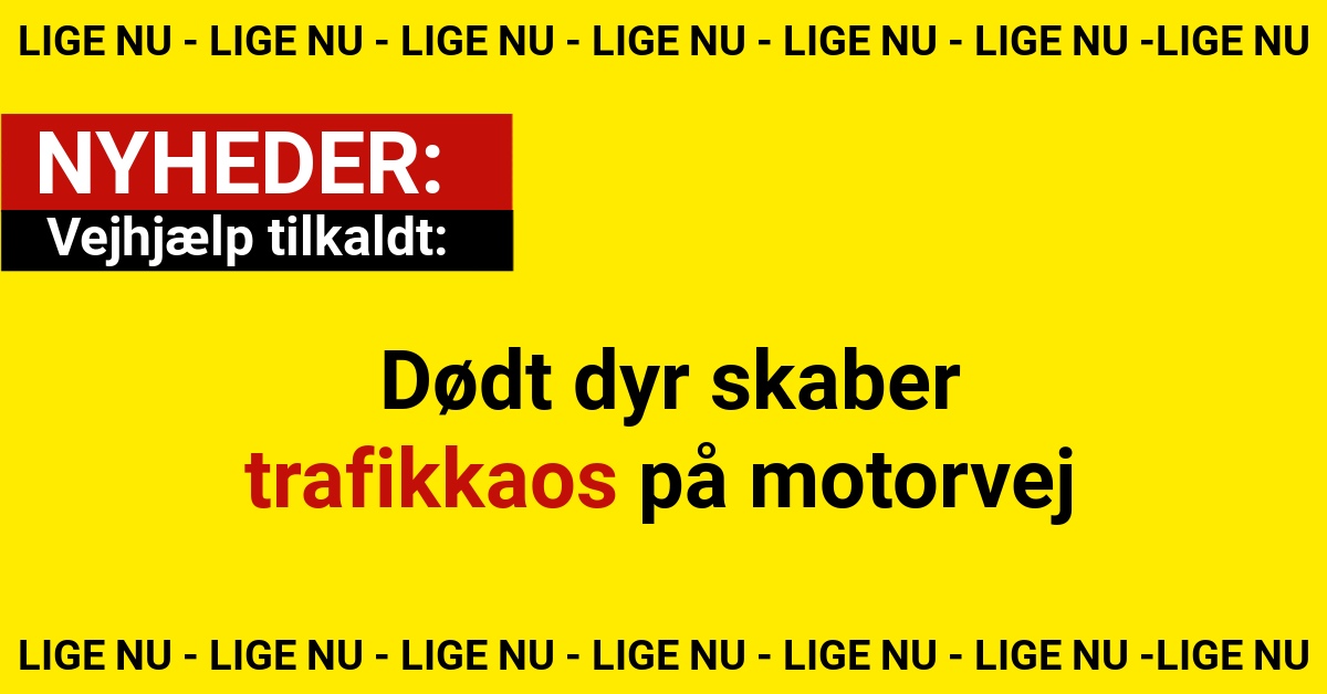 Vejhjælp tilkaldt: Dødt dyr skaber trafikkaos på motorvej