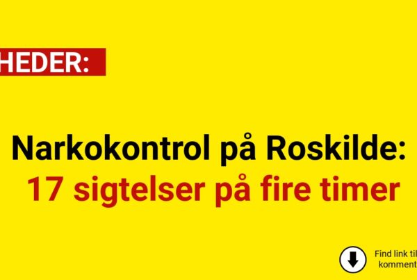 Narkokontrol på Roskilde: 17 sigtelser på fire timer