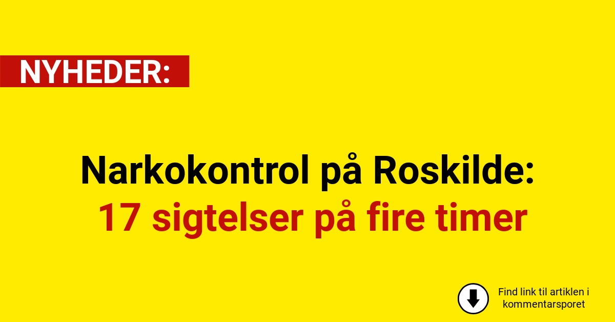Narkokontrol på Roskilde: 17 sigtelser på fire timer
