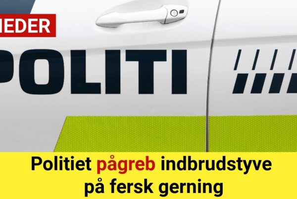 Politiet pågreb indbrudstyve på fersk gerning
