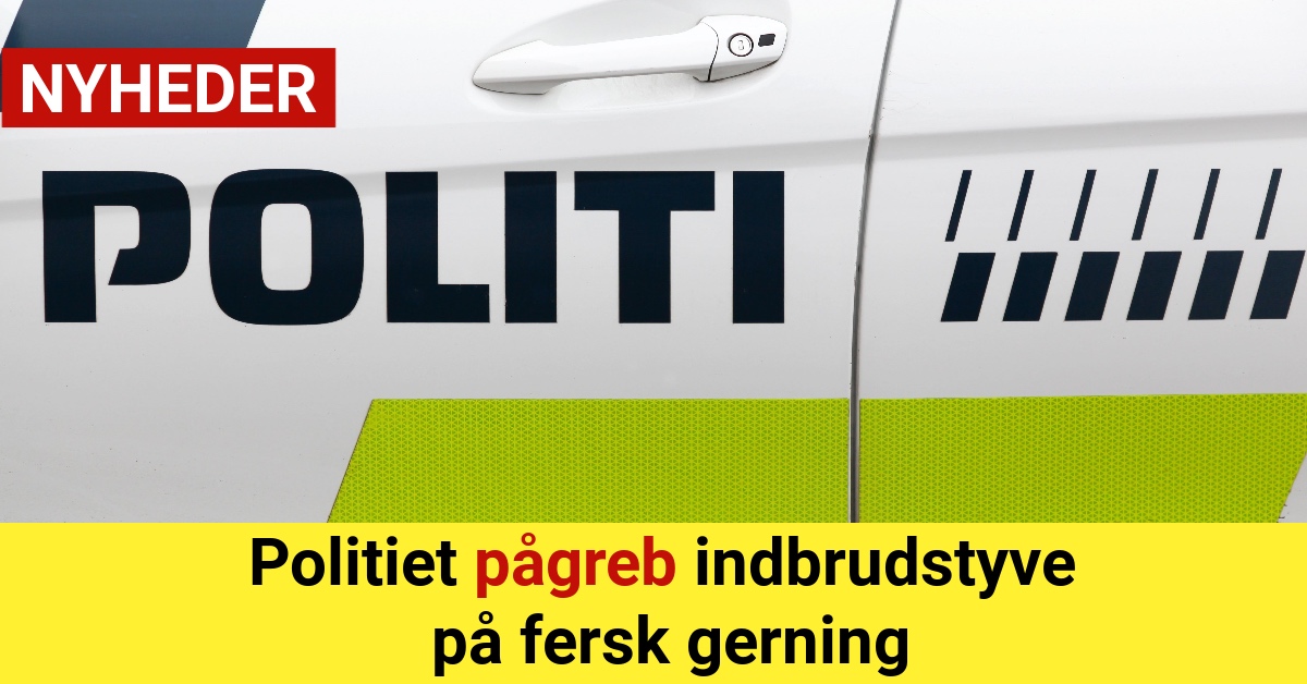 Politiet pågreb indbrudstyve på fersk gerning