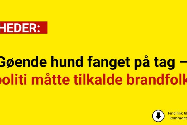 Gøende hund fanget på tag – politi måtte tilkalde brandfolk
