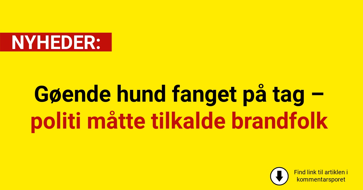Gøende hund fanget på tag – politi måtte tilkalde brandfolk