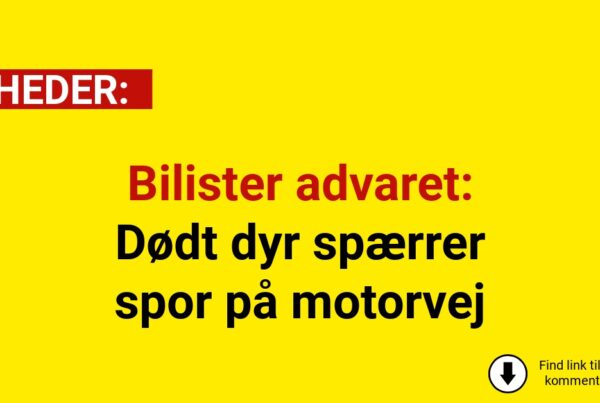 Bilister advaret: Dødt dyr spærrer spor på motorvej