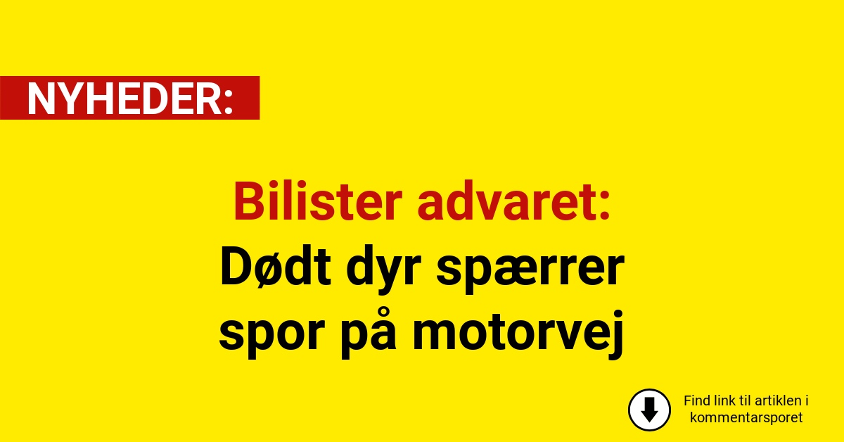 Bilister advaret: Dødt dyr spærrer spor på motorvej