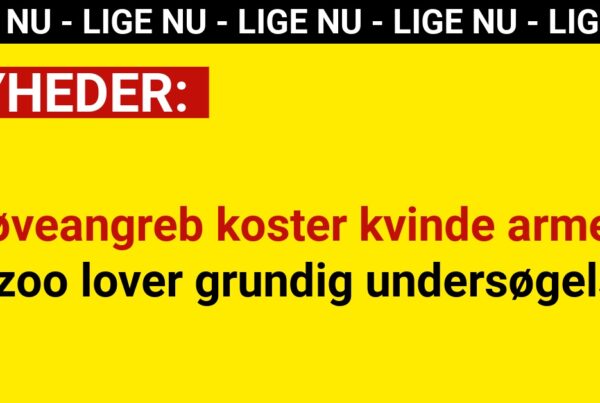 Løveangreb koster kvinde armen – zoo lover grundig undersøgelse