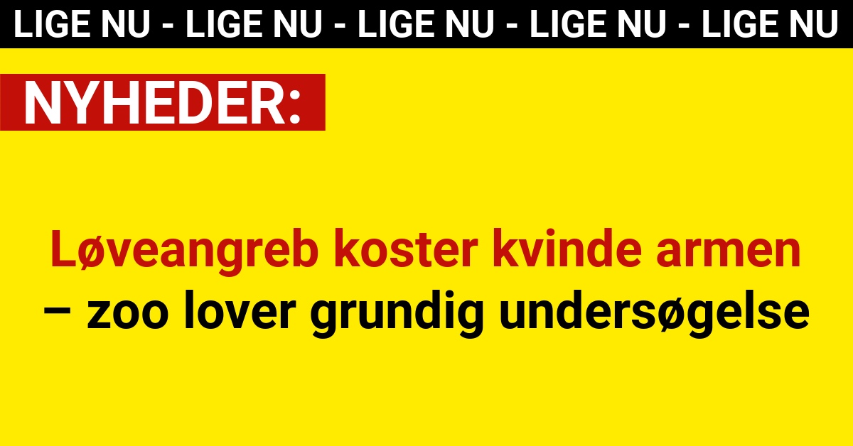 Løveangreb koster kvinde armen – zoo lover grundig undersøgelse