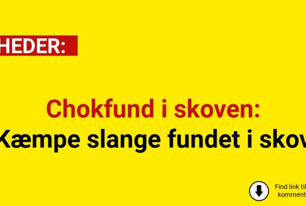 Chokfund i skoven: Kæmpe slange fundet i skov