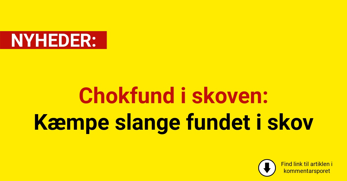 Chokfund i skoven: Kæmpe slange fundet i skov