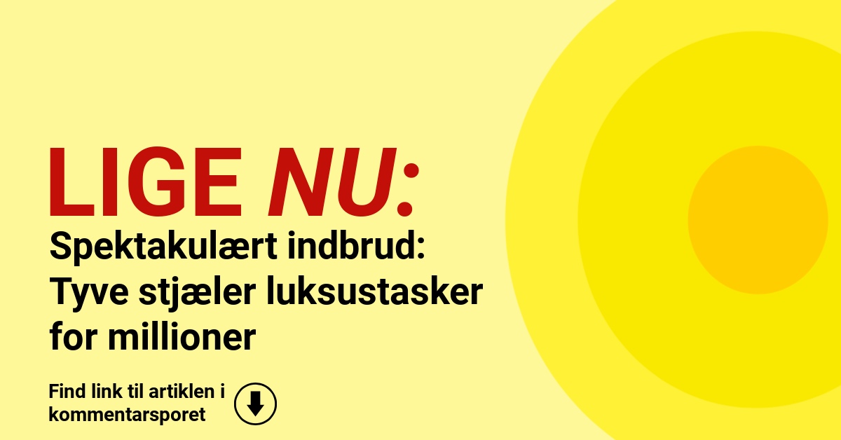 Spektakulært indbrud: Tyve stjæler luksustasker for millioner