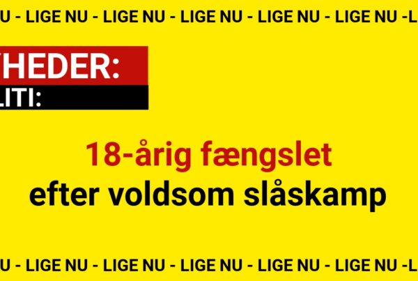 18-årig fængslet efter voldsom slåskamp