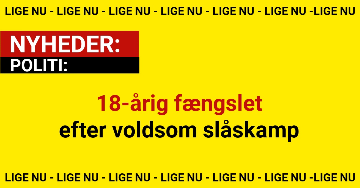 18-årig fængslet efter voldsom slåskamp