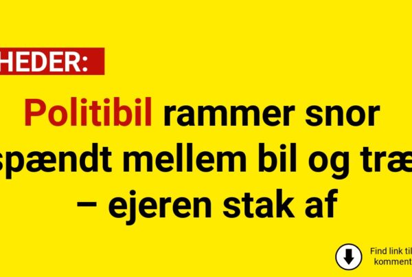 Politibil rammer snor spændt mellem bil og træ – ejeren stak af