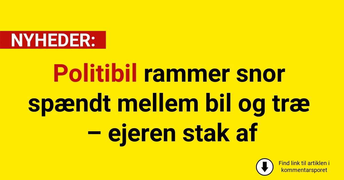 Politibil rammer snor spændt mellem bil og træ – ejeren stak af