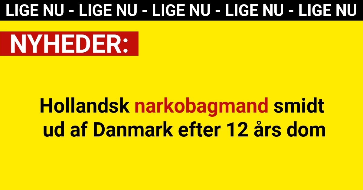 Hollandsk narkobagmand smidt ud af Danmark efter 12 års dom