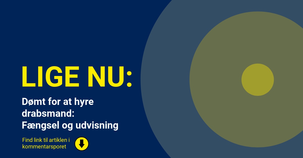 Dømt for at hyre drabsmand: Fængsel og udvisning