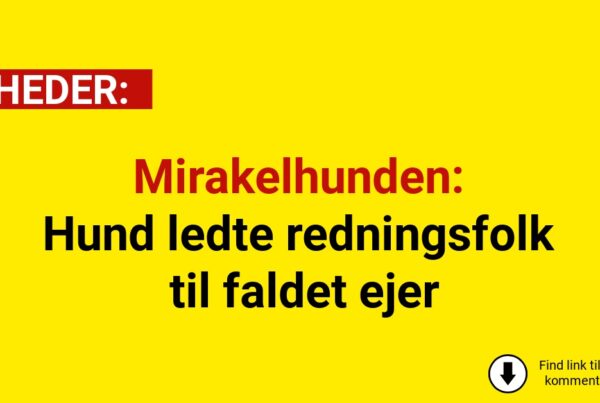 Mirakelhunden: Hund ledte redningsfolk til faldet ejer