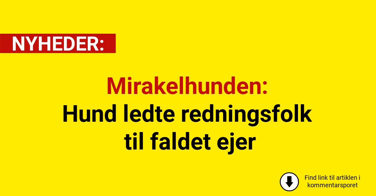 Mirakelhunden: Hund ledte redningsfolk til faldet ejer